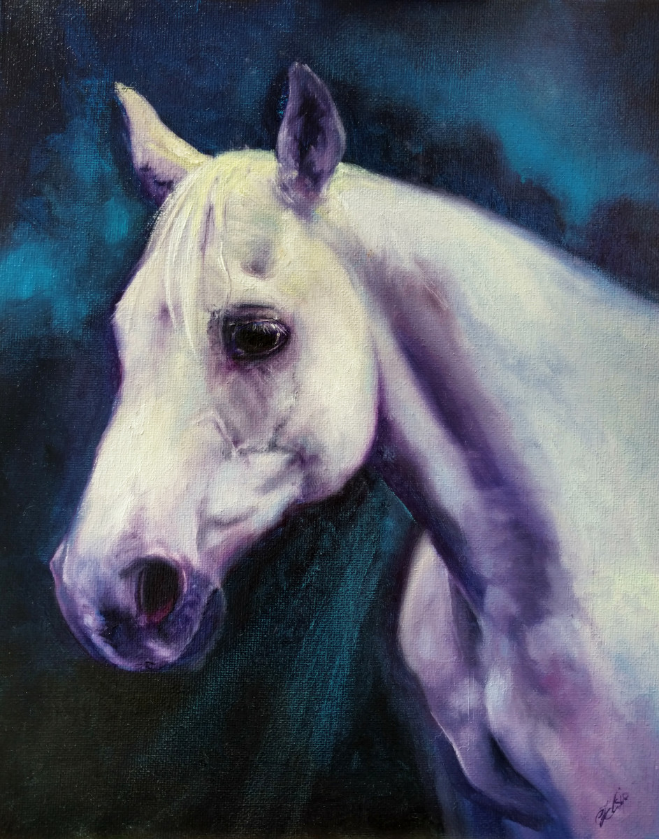 Matadore's Banner by C J Elsip 