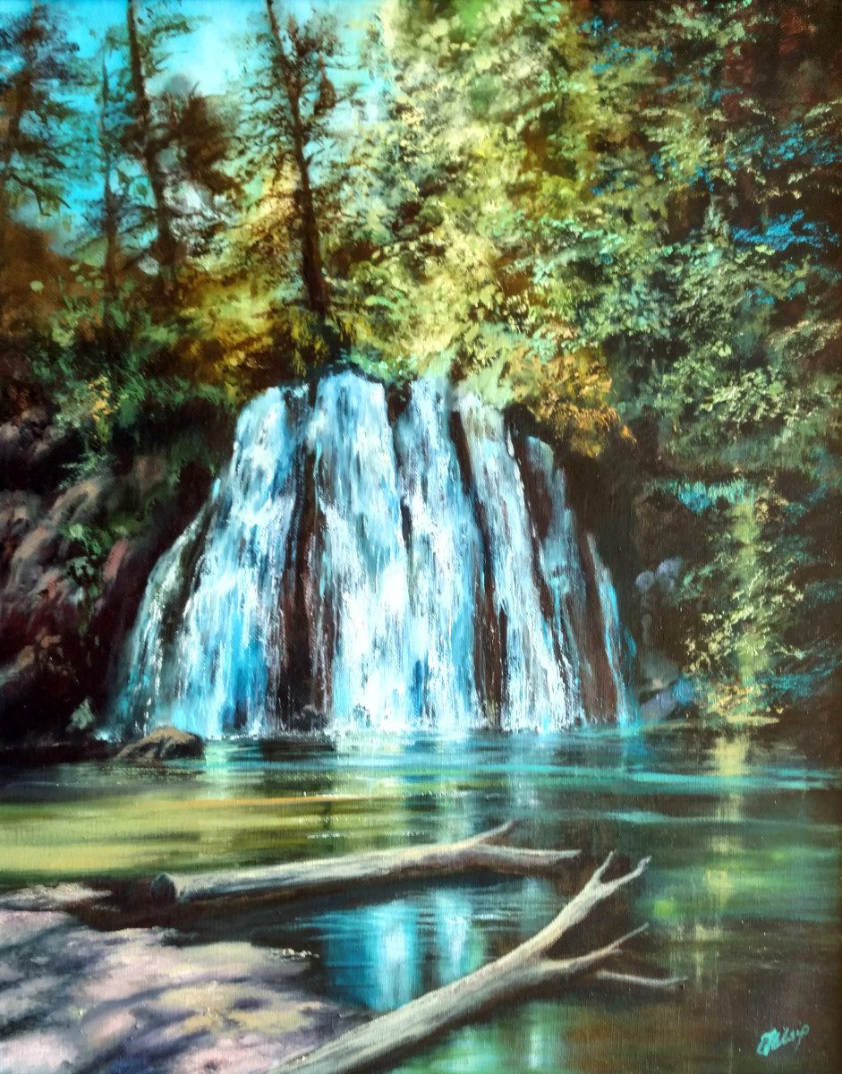 Fall Reflection by C J Elsip 