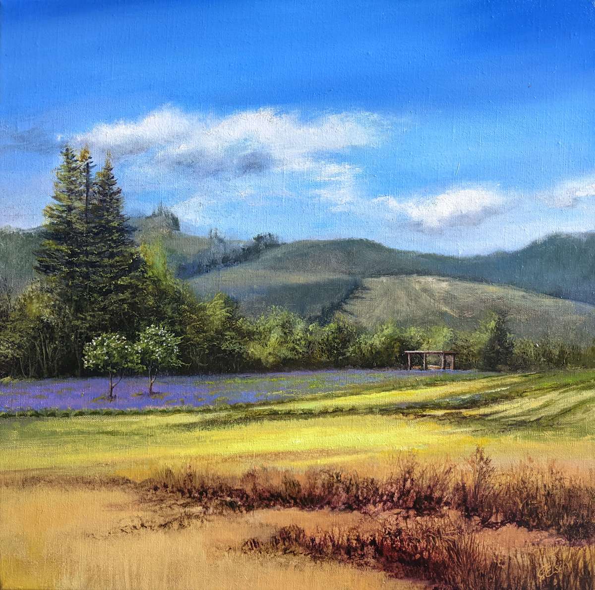 Lavender Field by C J Elsip, Image 2.
