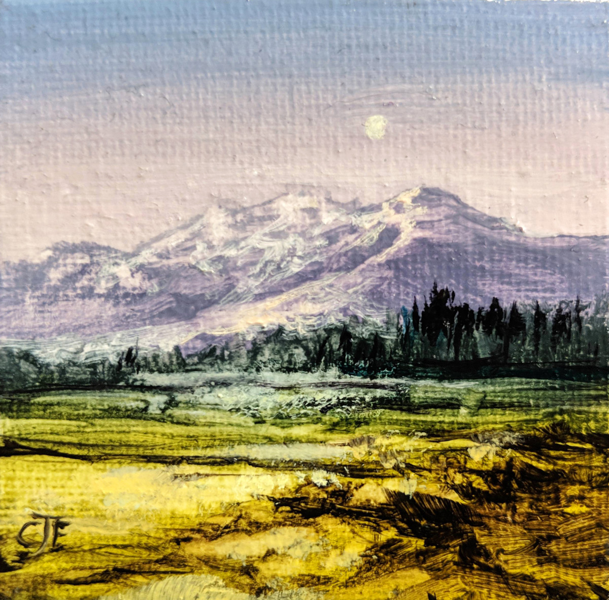 BB Kiona by C J Elsip 