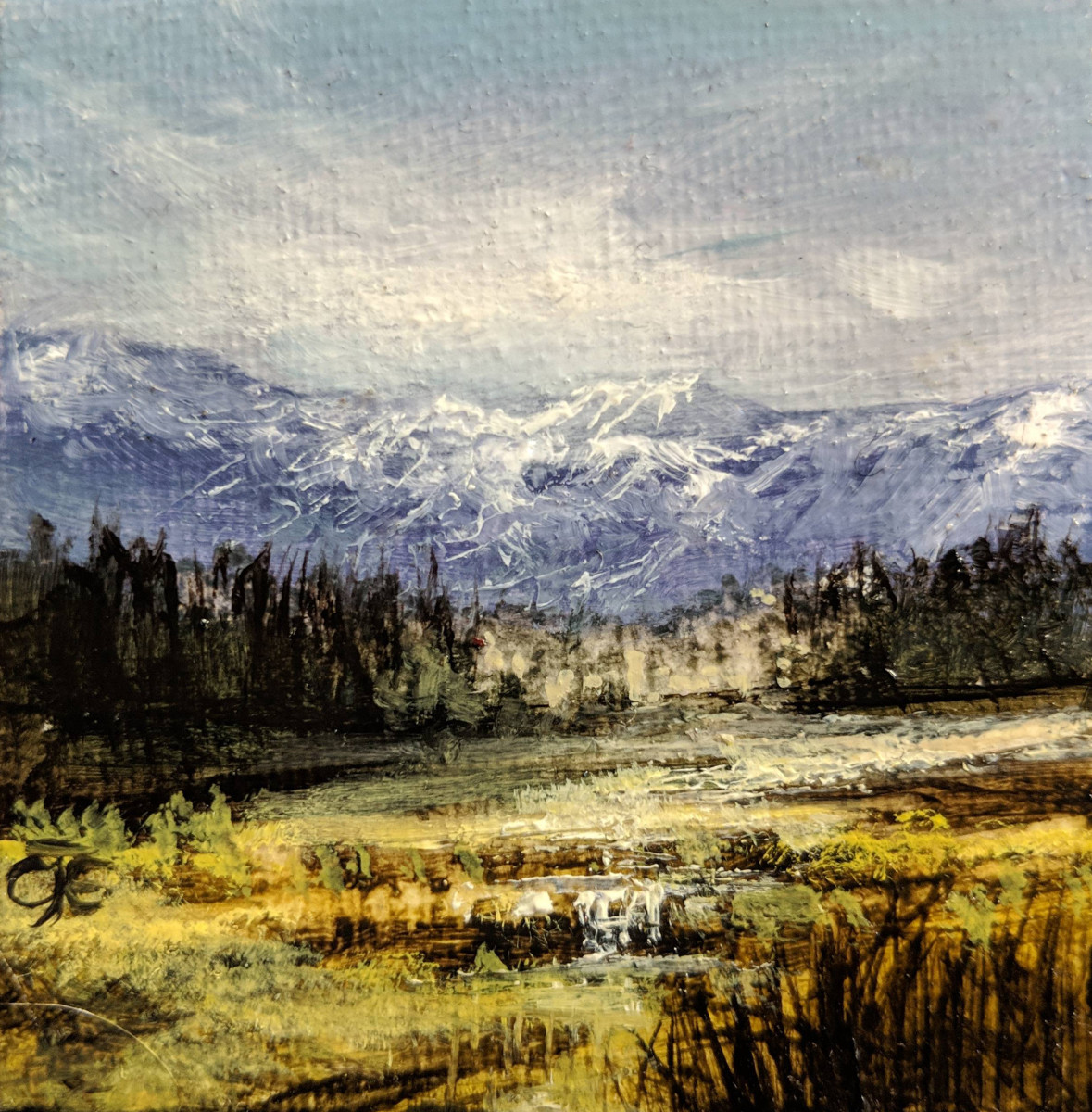 BB Snowline by C J Elsip 