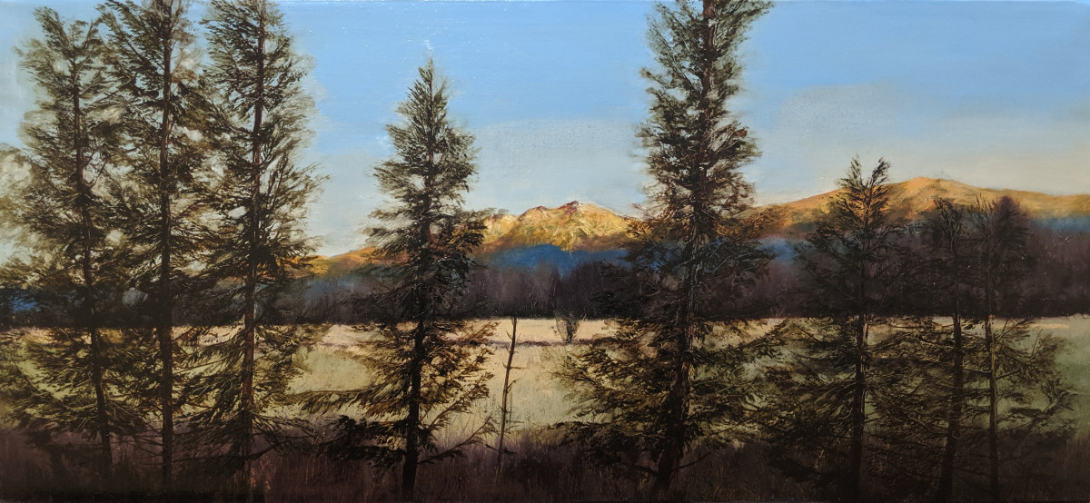 Auric Dawn by C J Elsip 