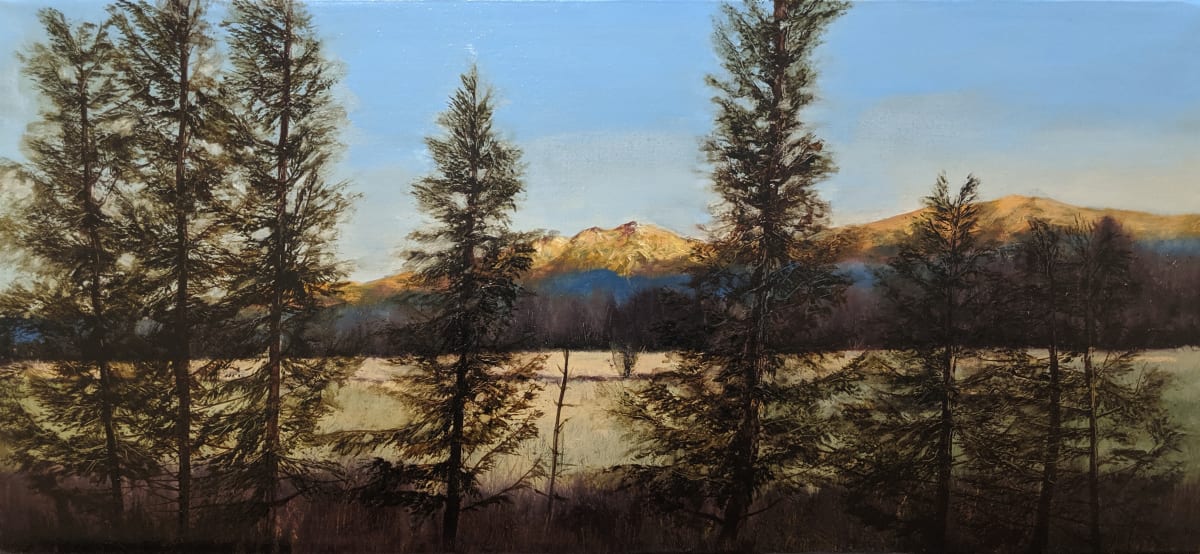 Auric Dawn by C J Elsip, Image 1.