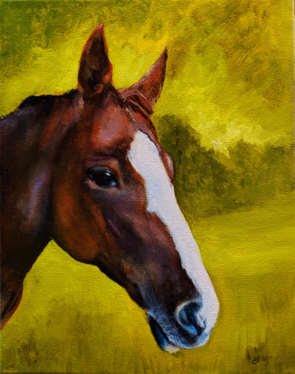 Lulu II by C J Elsip 