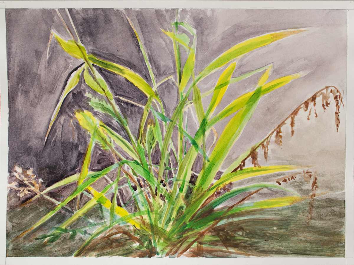 Allergic Still Life 2 by Brooke Lanier 