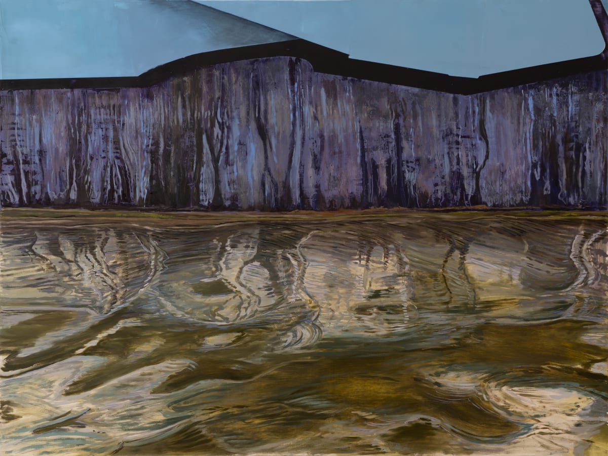Becuna, Overcast by Brooke Lanier 