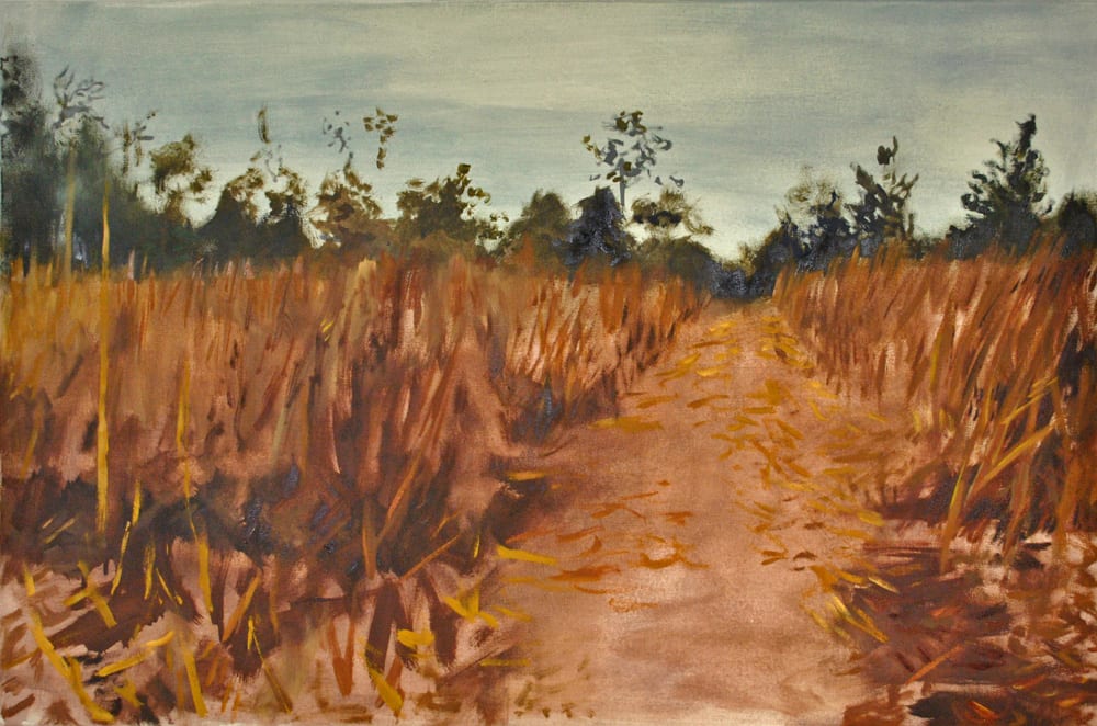 Fields Fallowing 1, Image 1.