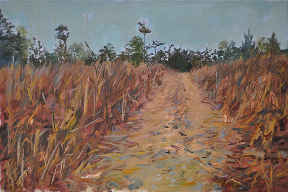 Fields Fallowing 2 by Brooke Lanier, Image 1.