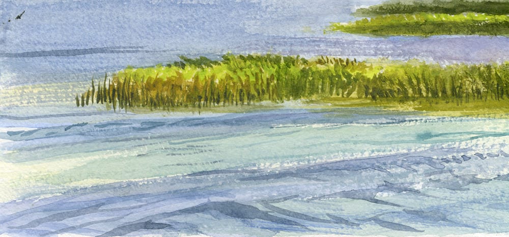 Grass Island, Wake 