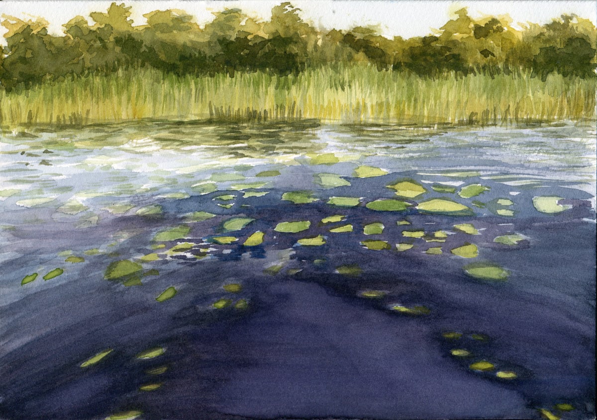 Lilypads 