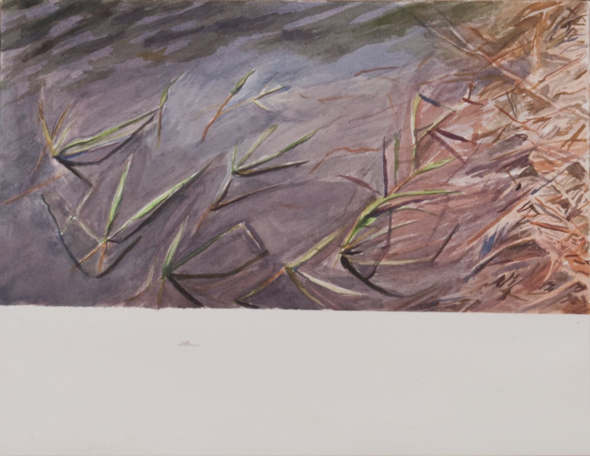 Melodie's Pond, Spring 2016 by Brooke Lanier 