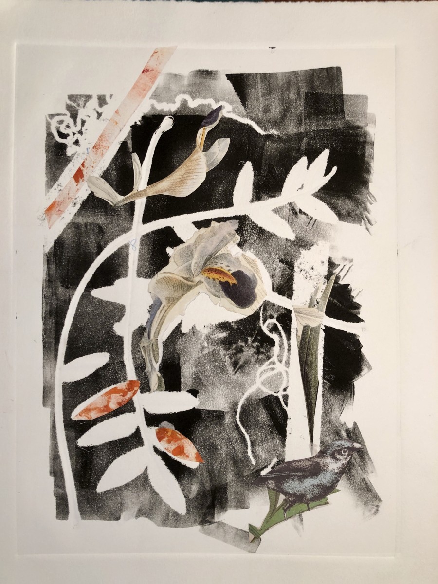 Bird of Paradise by Susan Grucci  Image: Mono-Print - mixed media - Collage 