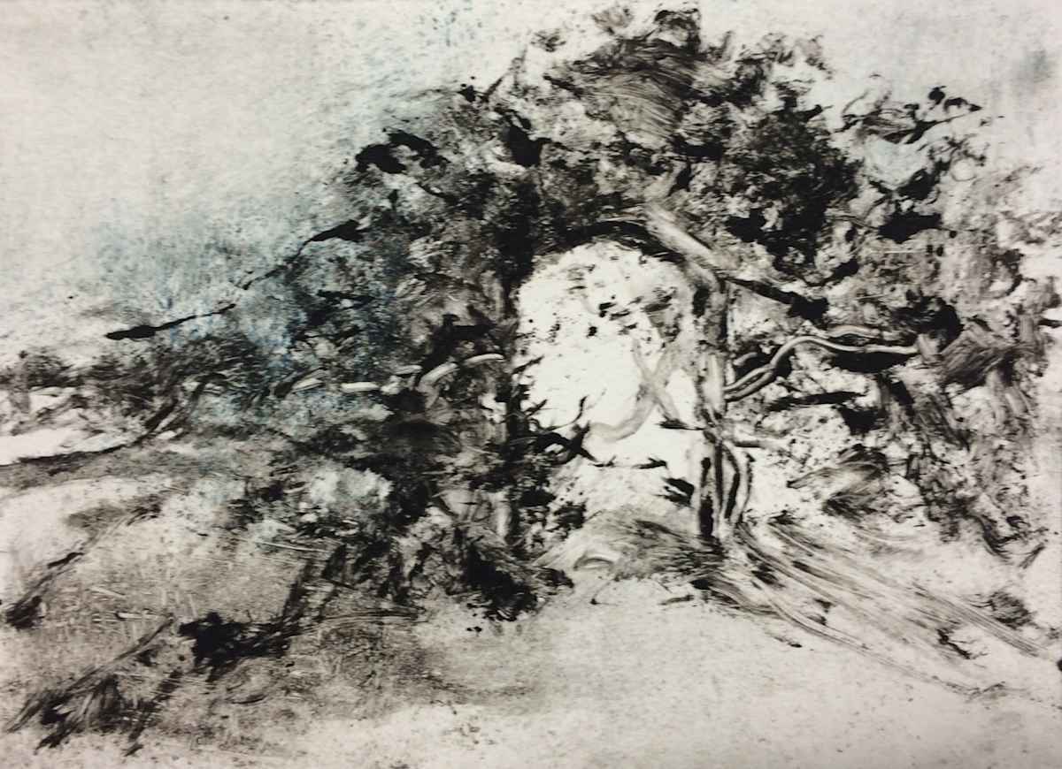 Hunter Lake Arbor by Susan Grucci, Image 1.