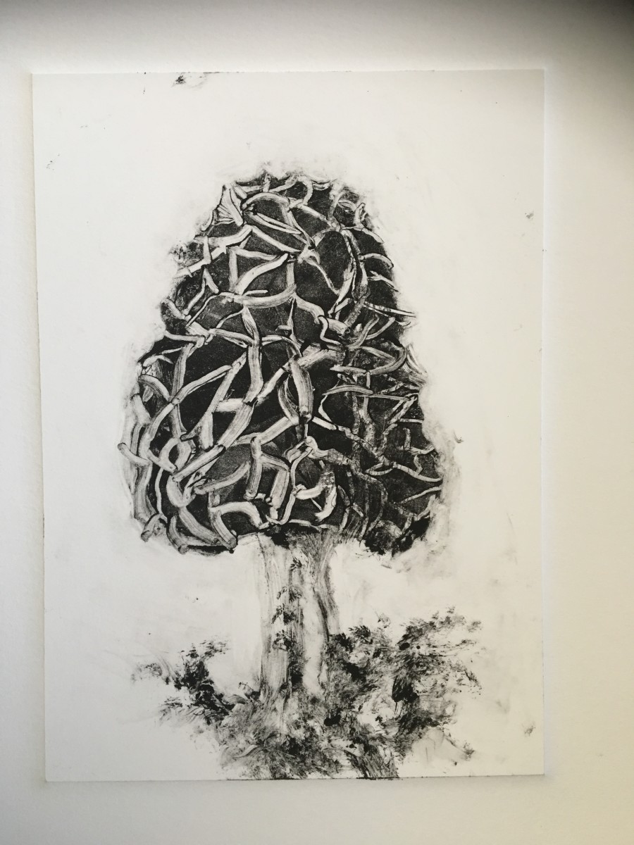 "Morel" by Susan Grucci  Image: Morel mushroom with  gray frame and gray matte 