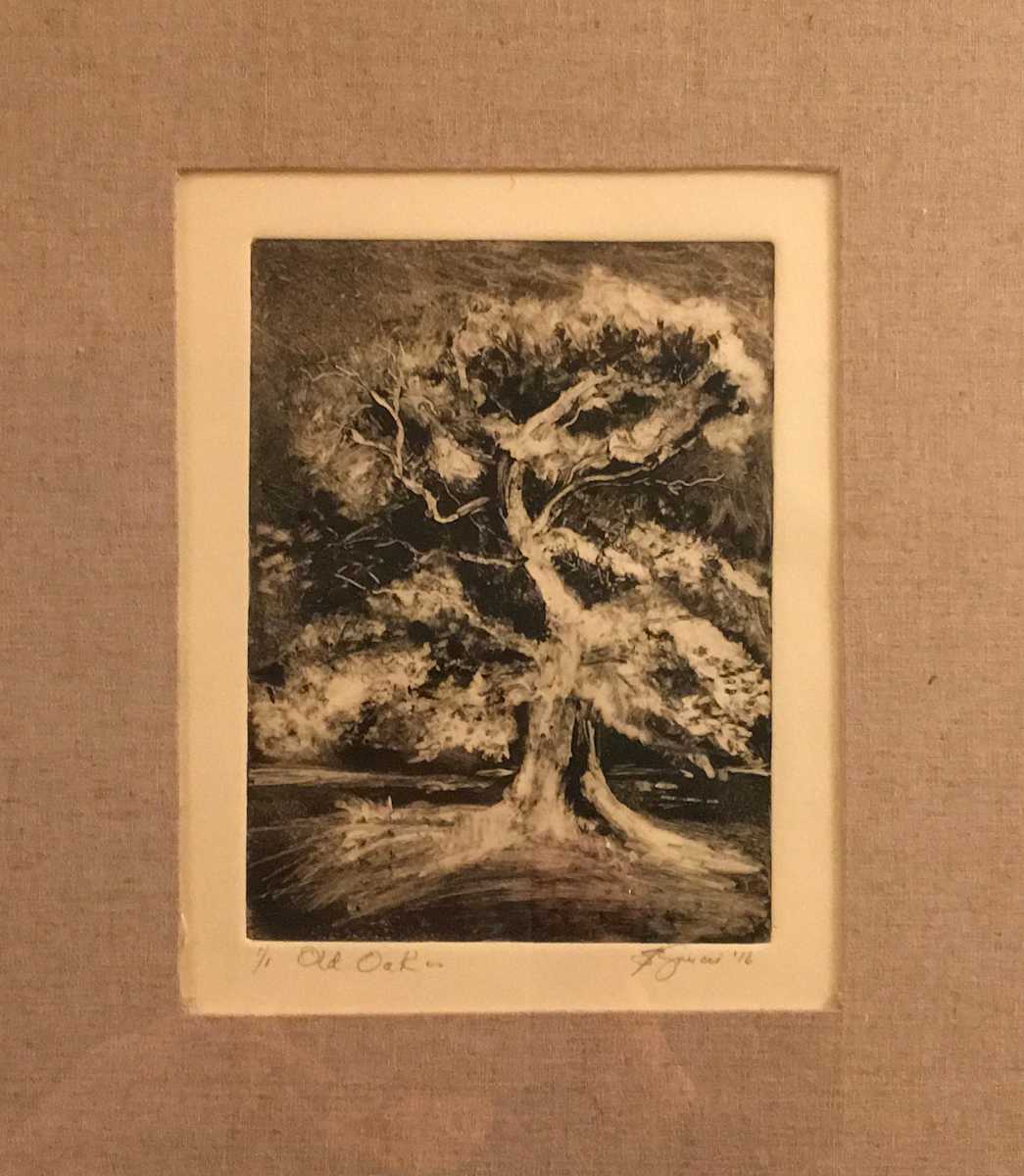 Old Oak by Susan Grucci, Image 1.