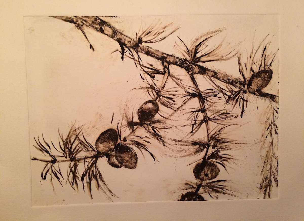 Pine branch by Susan Grucci, Image 1.