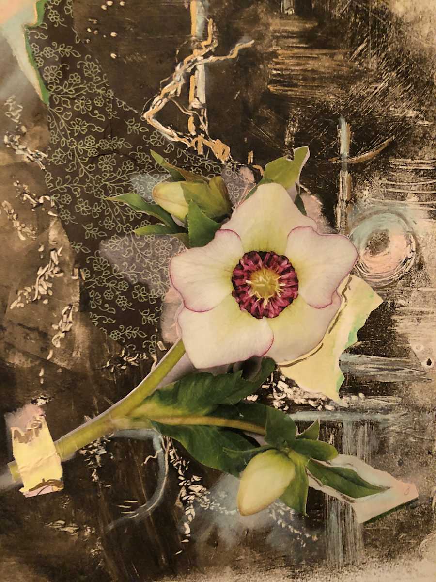 Sustainable Happiness by Susan Grucci, Image 1.