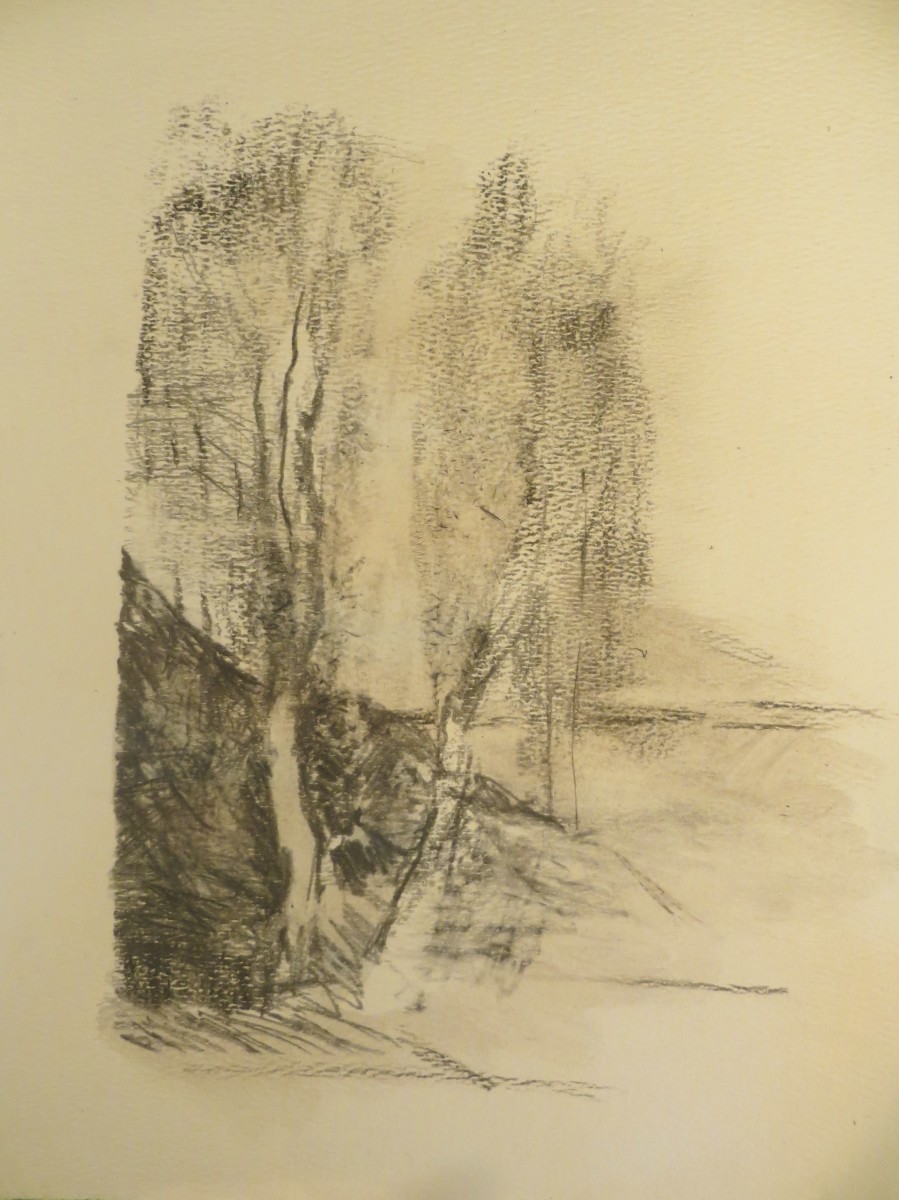 Trees by Susan Grucci 