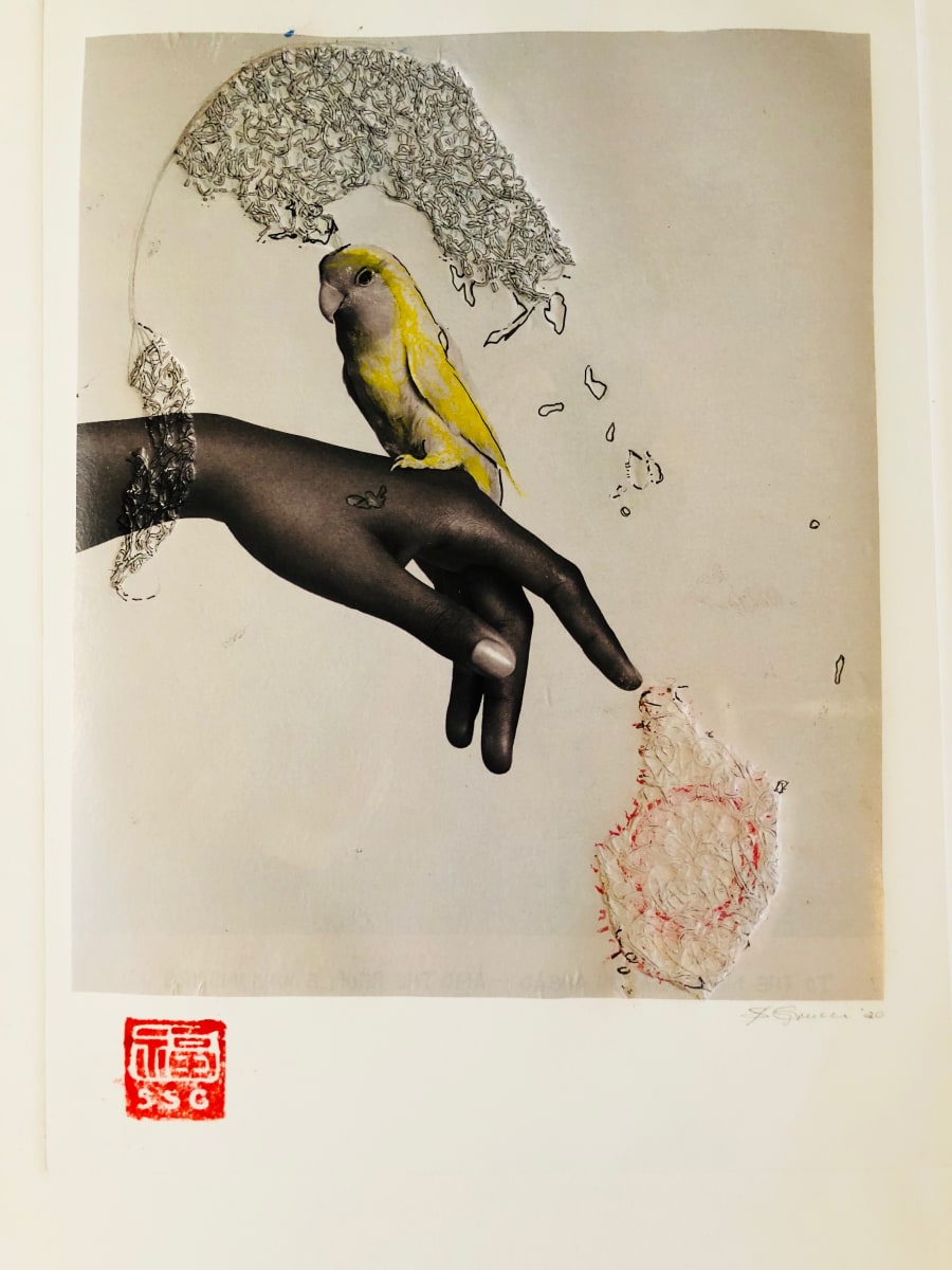 Canary, Image 1.