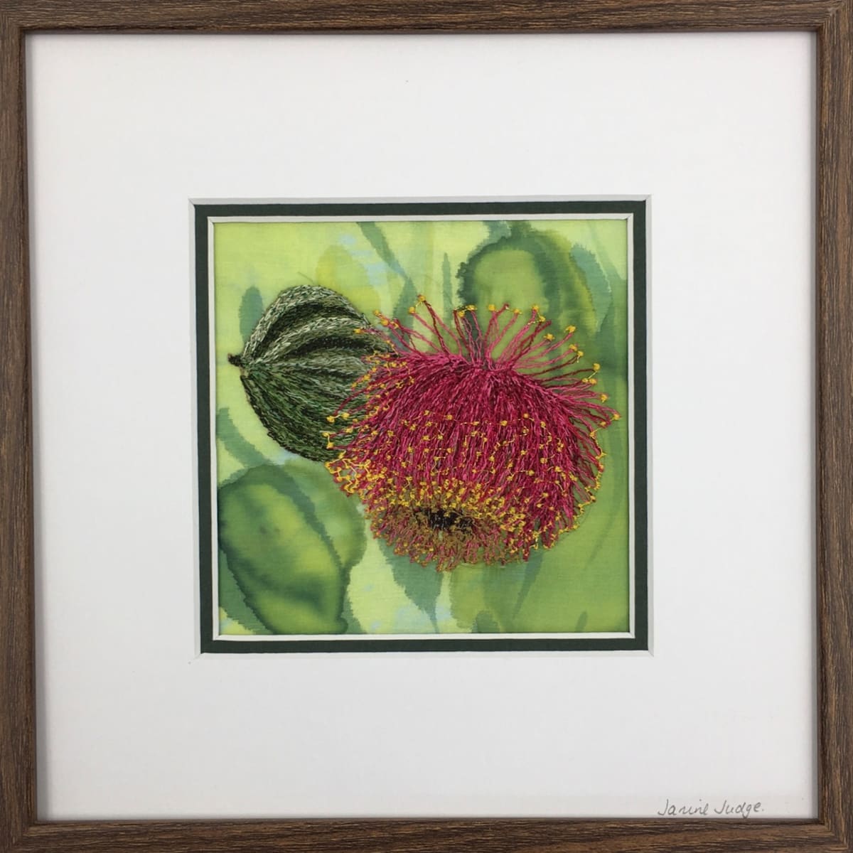 Large-fruited Mallee by Janine Judge 