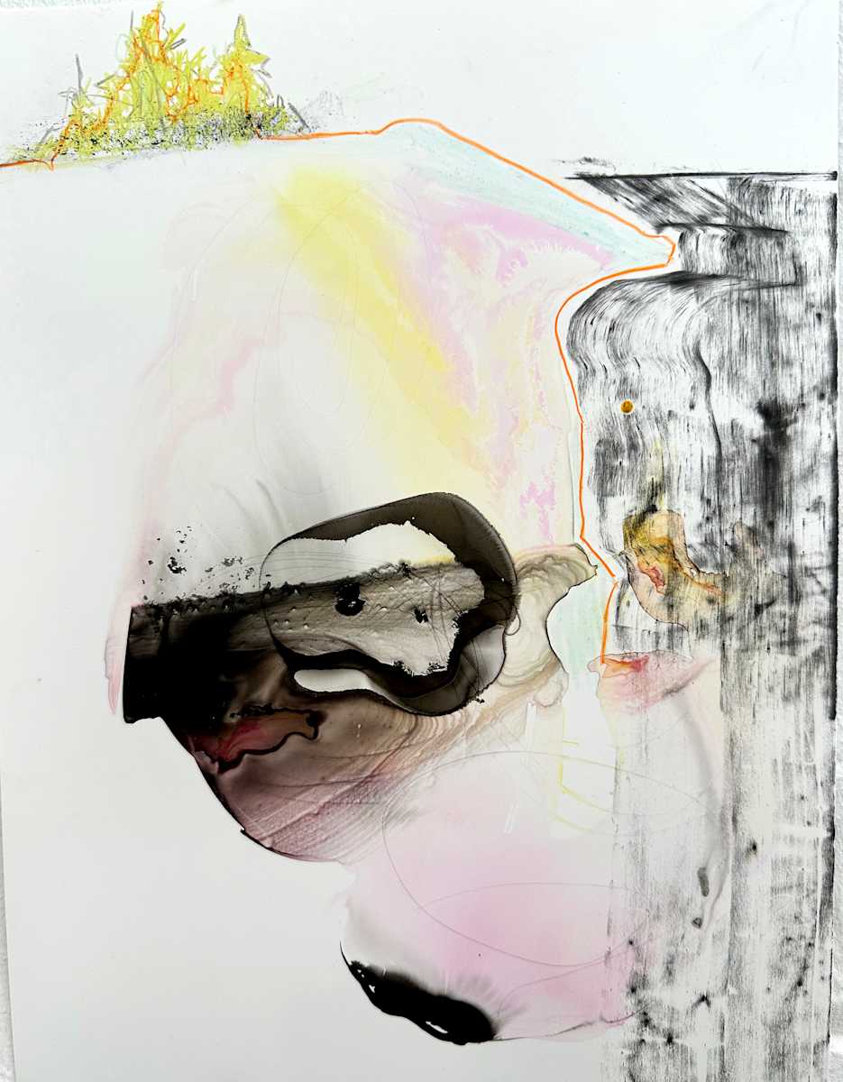 Ravine by catherine, Image 9.