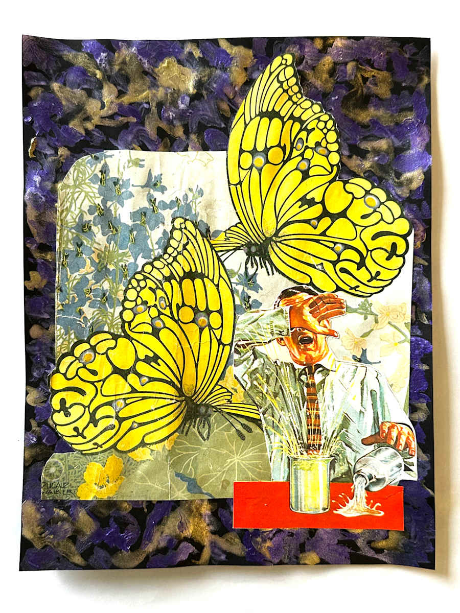 Butterflies by Dan Cameron 