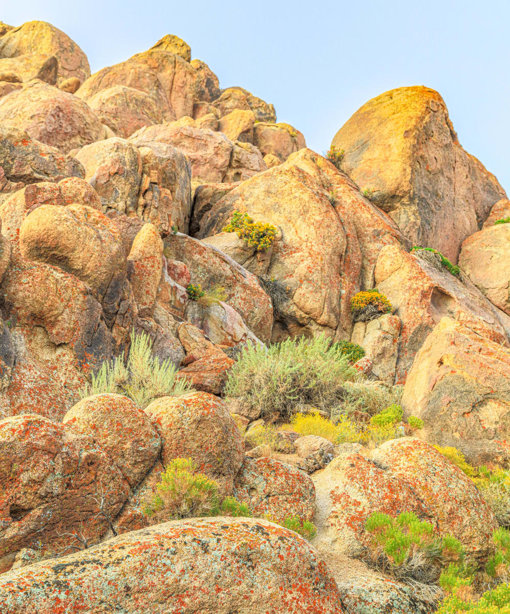 Alabama Hills III by James Root 