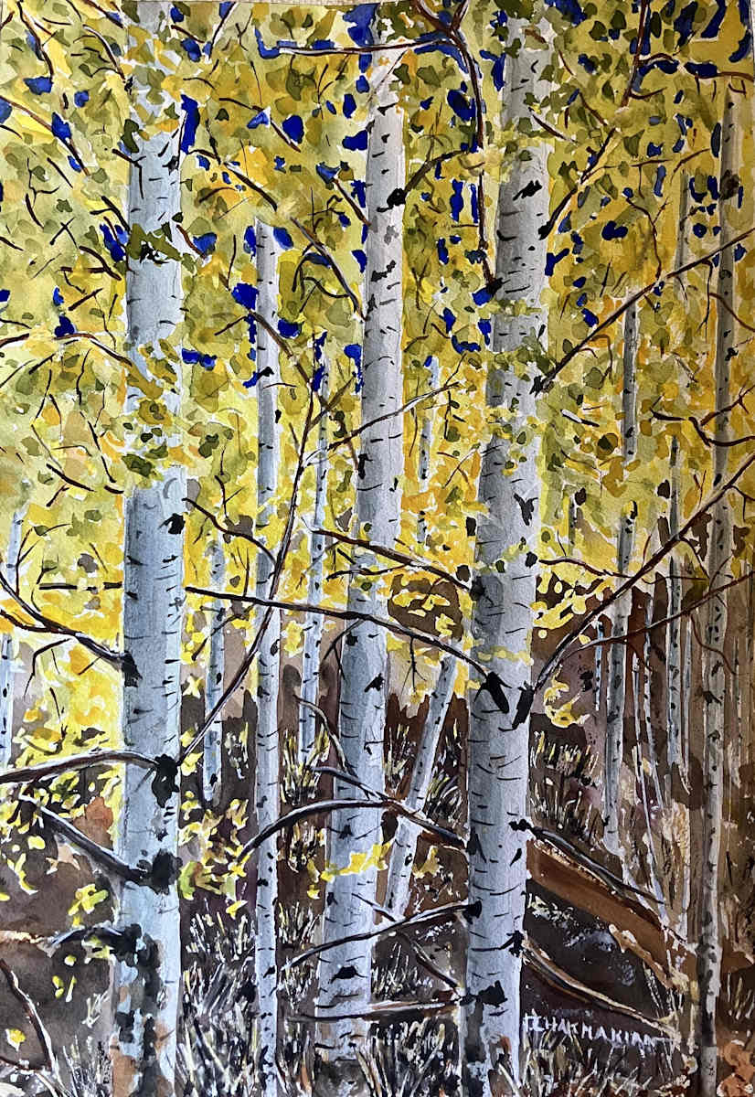 Aspens I by Dr. David Chakmakian 
