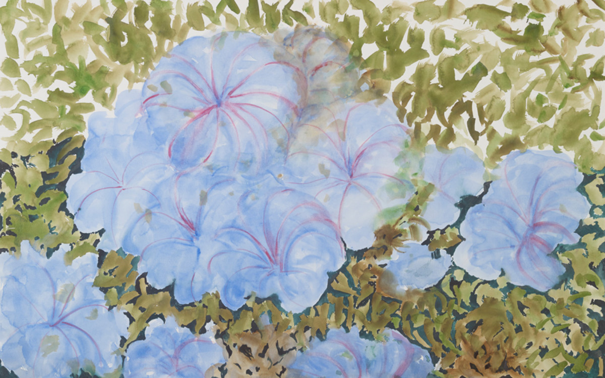 B47415 252 by Nancy Hardin Brorby, Image 1.