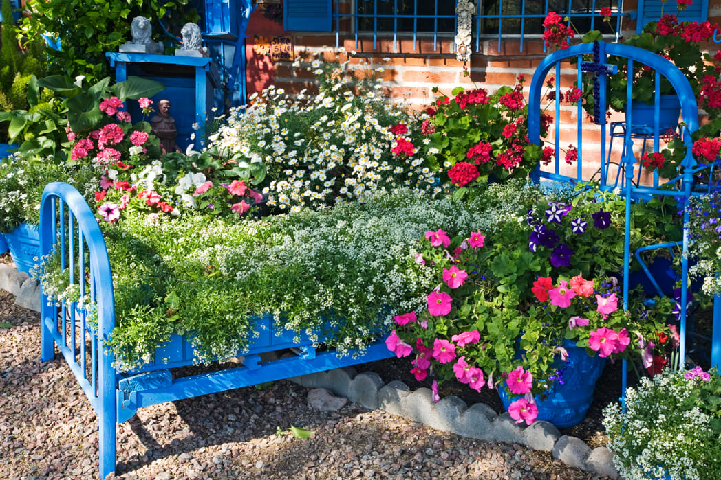 El Jardin Azul: Bed of Flowers by Cita Scott 