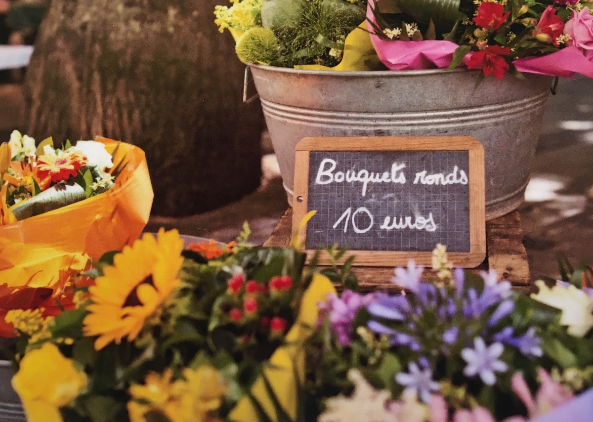 Loire Valley, France    by Dominic AZ Bonuccelli 