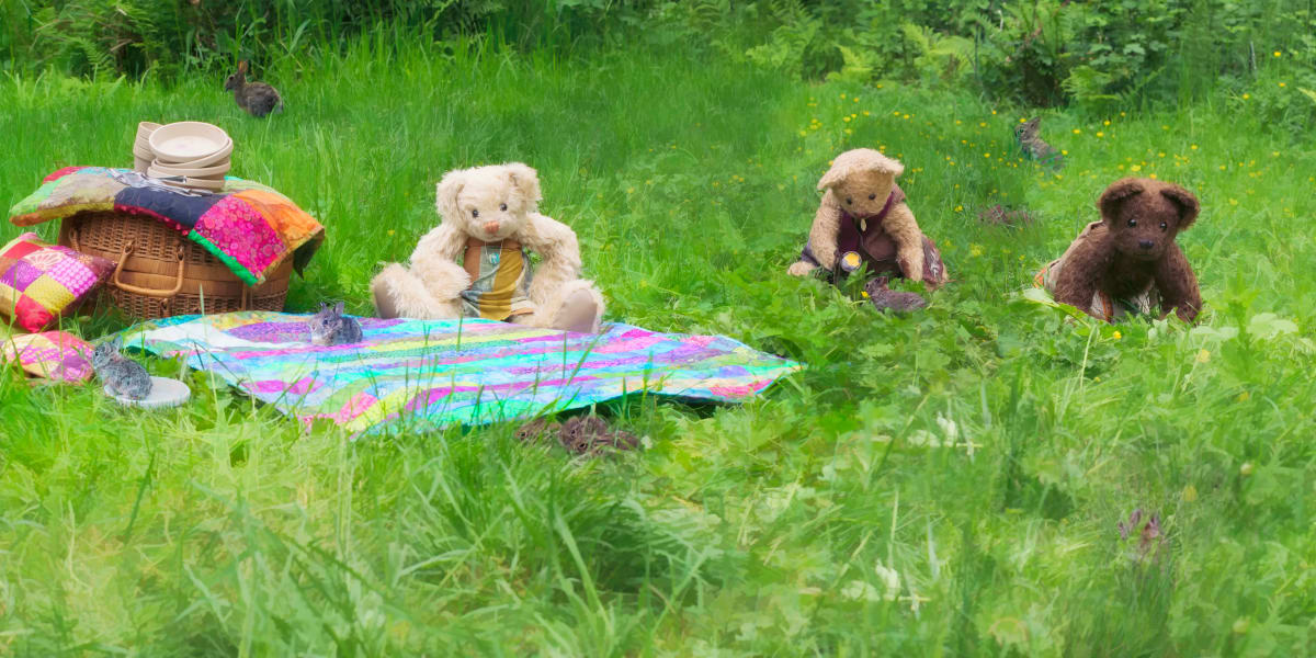 Teddy Bear Picnic by Brandy  Stone 