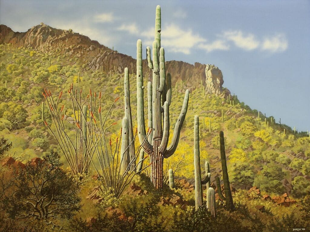Tucson Mountains by John Byron, Image 1.