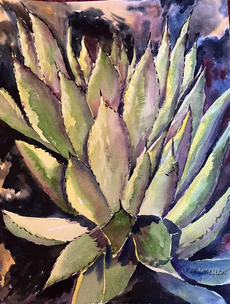 Cactus II by Dr. David Chakmakian 