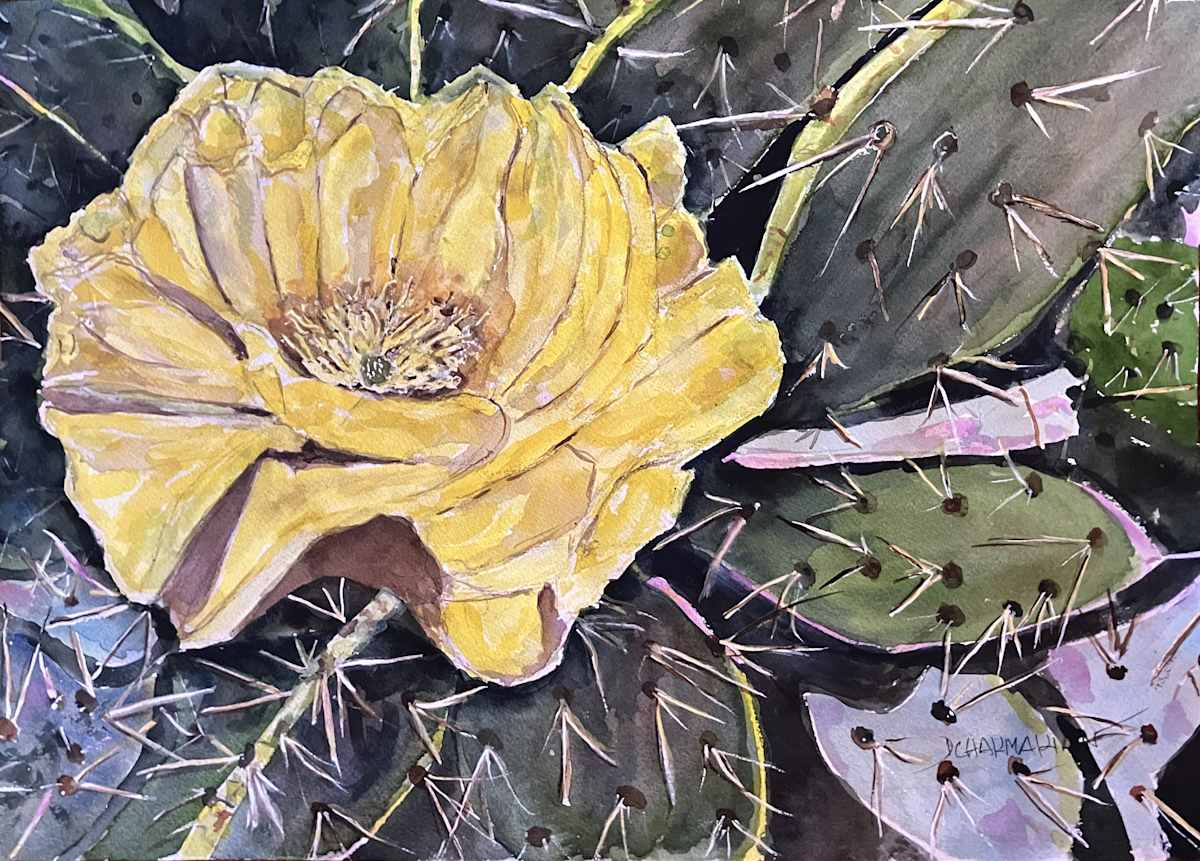 Cactus I by Dr. David Chakmakian 