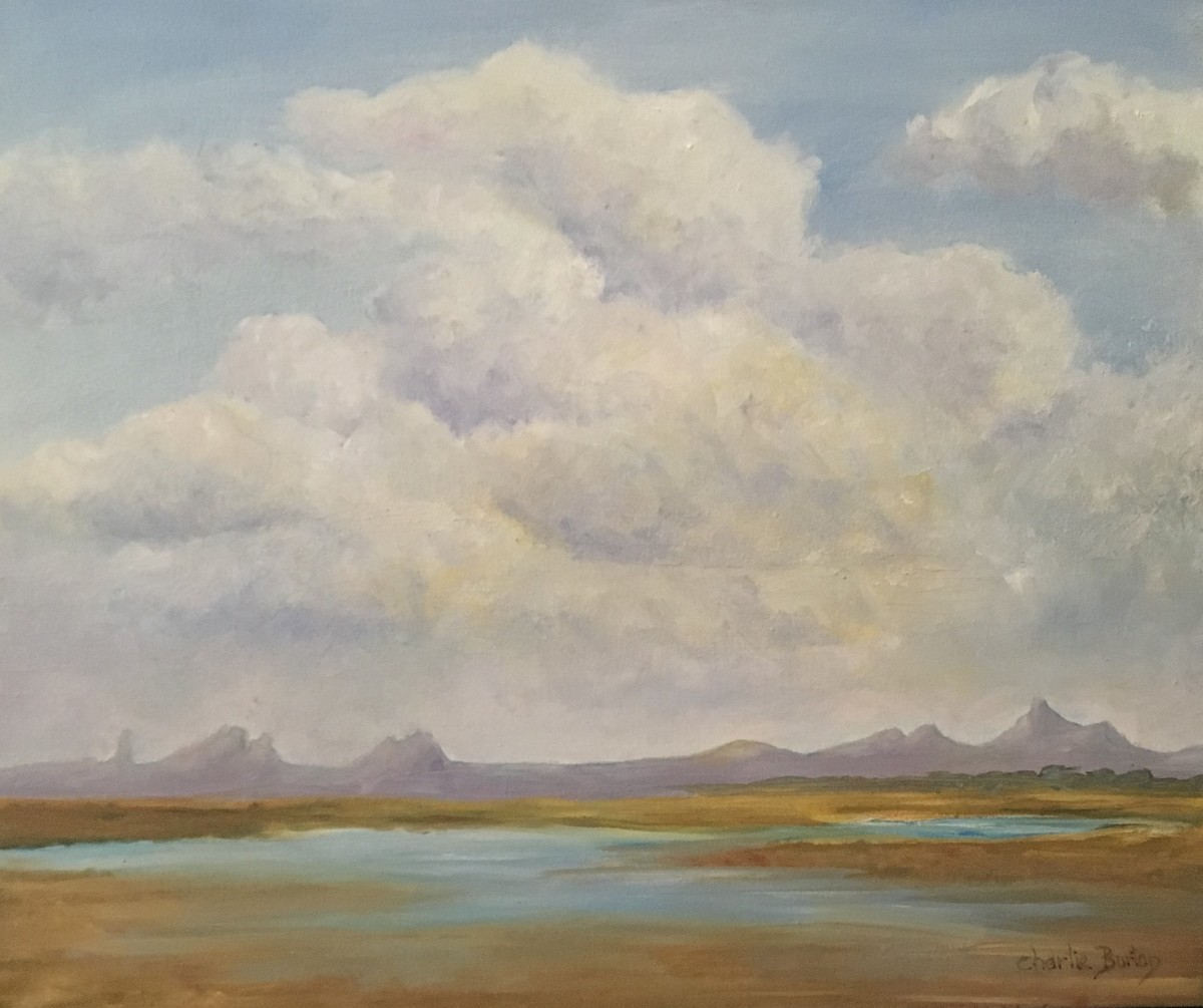 After a Monsoon by Charlie (Sharlette) Burton 