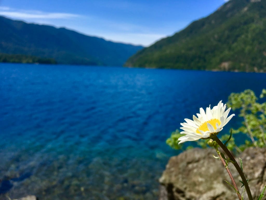 Lake Crescent, Olympic National Park by Emily Rich 