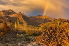 Sabino Sunset with Rainbow by Ernie Schloss 