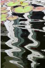 Rippling Pond from Moments of Reflection series by Sonja Van Buuren 