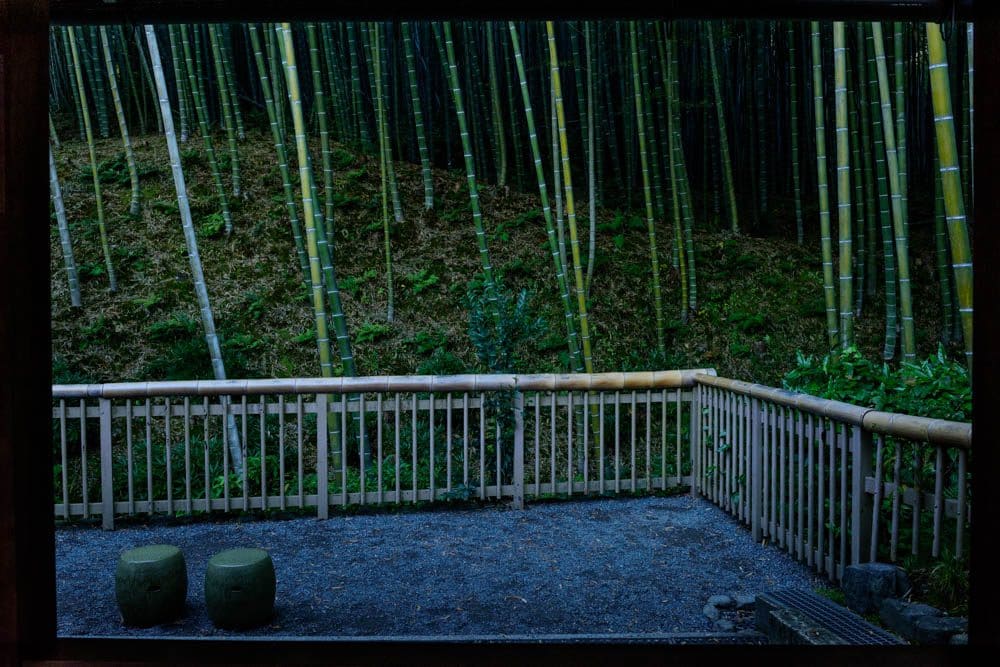 Bamboo Grove by George Nobechi 