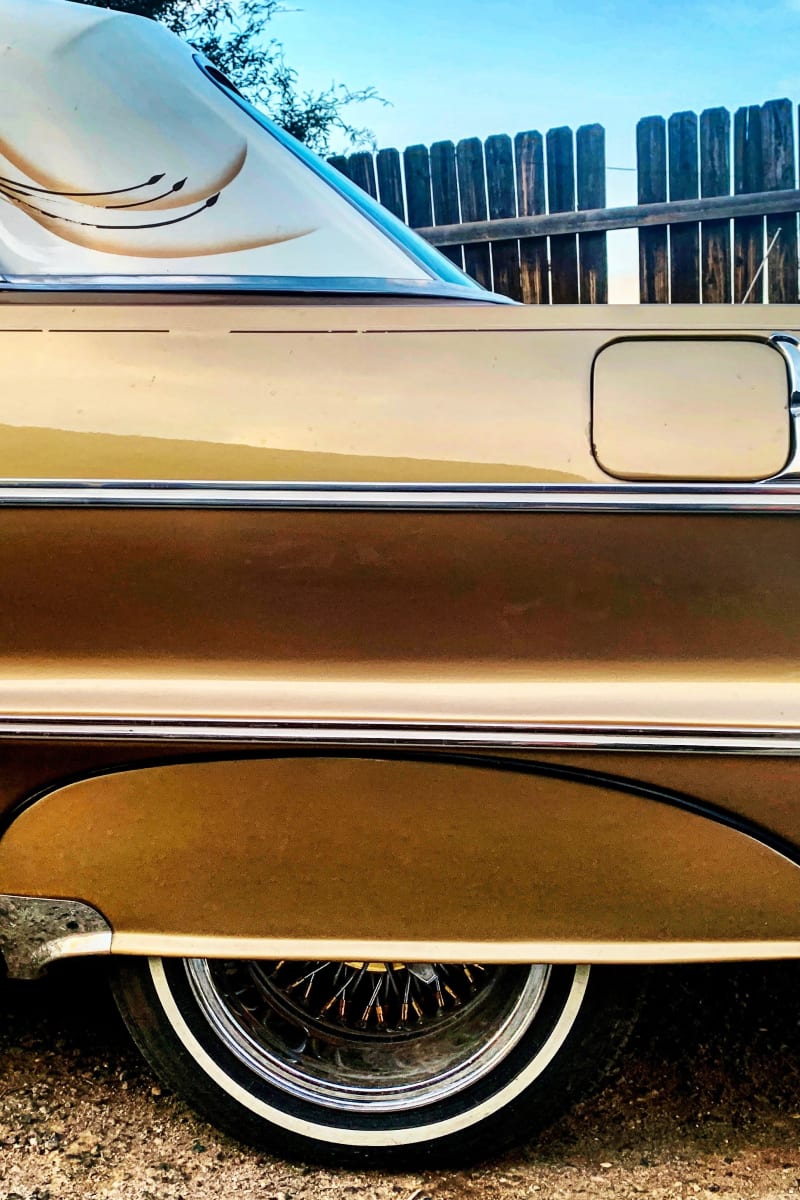 Gold Impala Profile by Kristine Peashock 