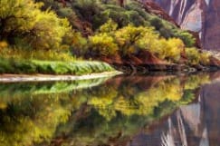 Colorado River in Glen Canyon by Gregory E McKelvey 