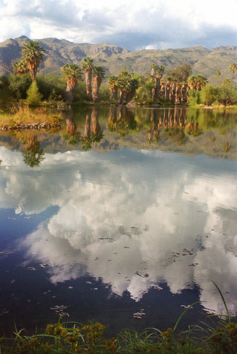 Agua Caliente, Cloud Reflection by Harold Tretbar 