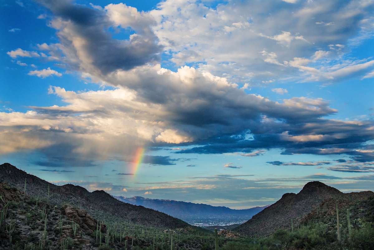 Tucson from Gates Pass by Harold Tretbar 