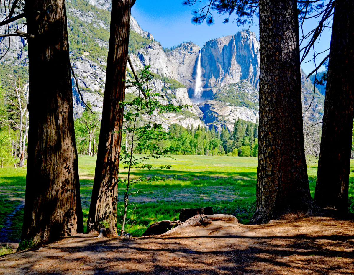 Yosemite Valley by Harold Tretbar 