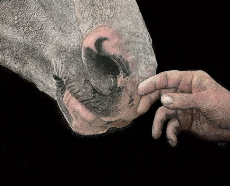 The Touch (Kentucky Mountain Horse) by Paul Hopman 