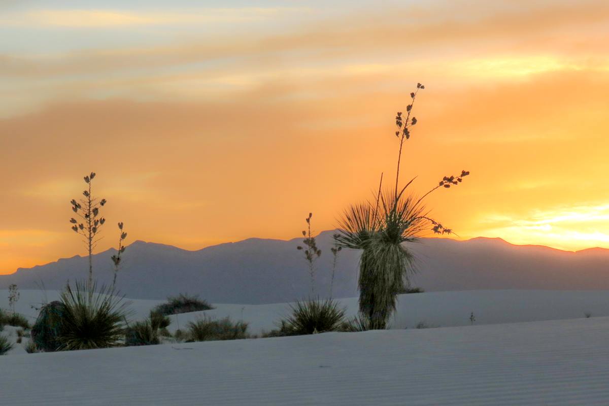 from Zen series by Sonja Van Buuren, Image 1.