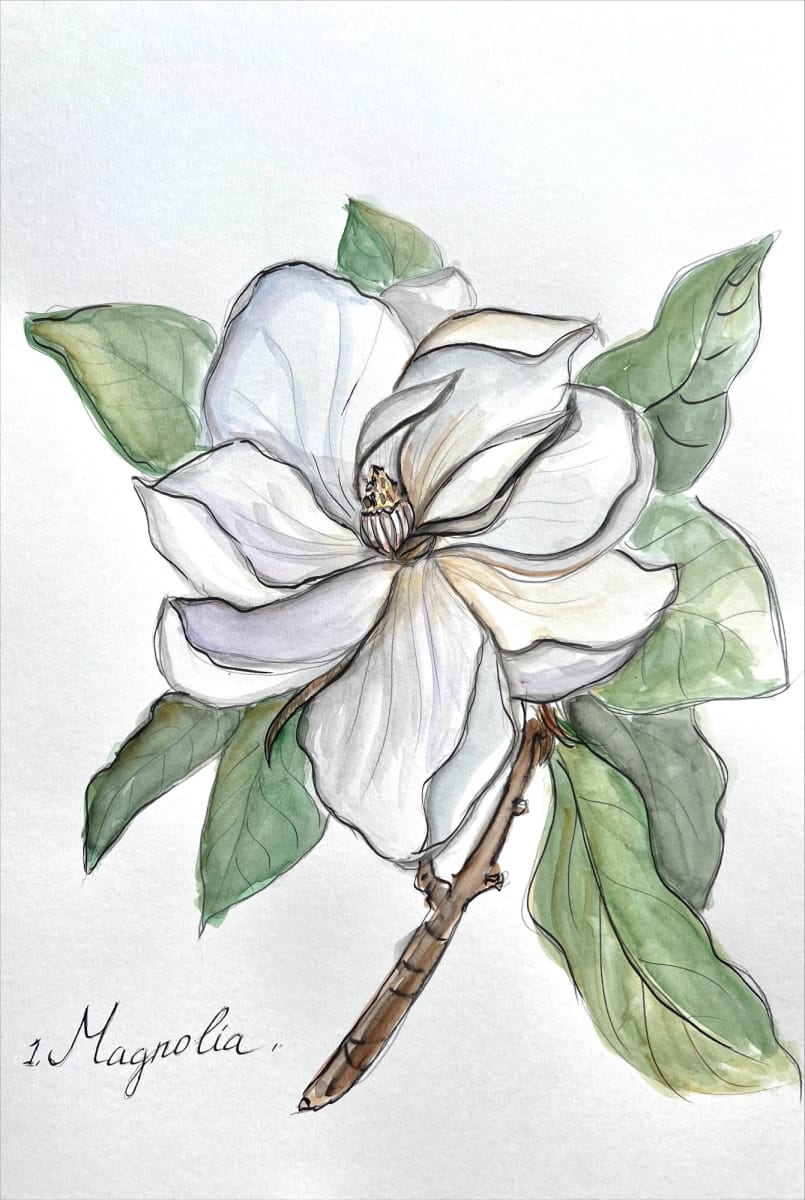 Four hand-drawn botanicals by Eva Murzaite, Image 1.