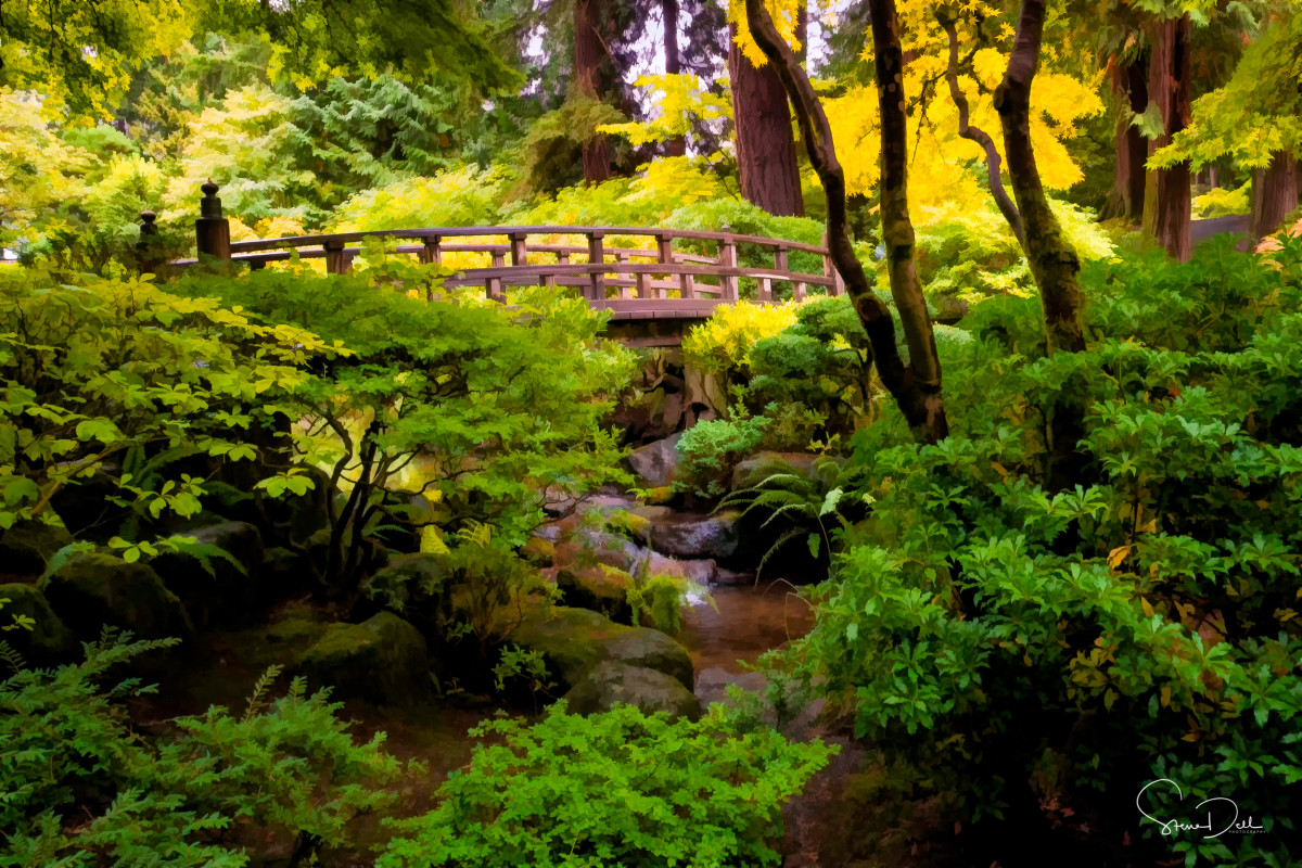 Japanese Garden by Steve Dell 