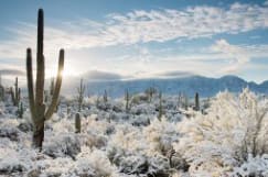 Sunrise, Sonoran Desert by John Miranda 